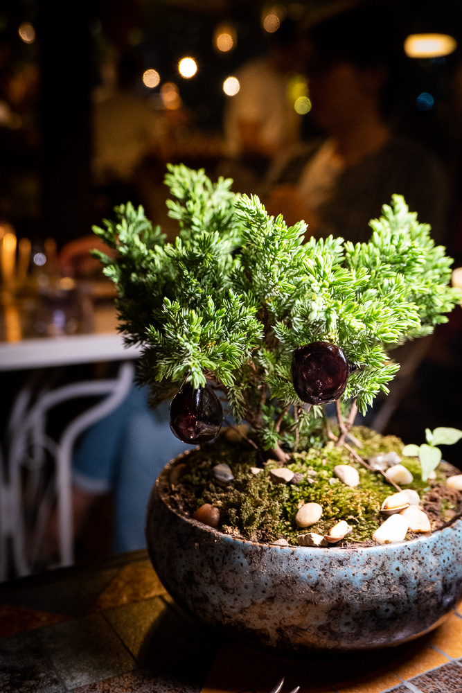 Duck prosciutto at Botanik, a seasonal, mostly plant-based sustainable restaurant in Shanghai. Photo by Rachel Gouk. 