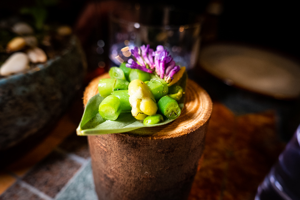 Spring beans and wild peas at Botanik, a seasonal, mostly plant-based sustainable restaurant in Shanghai. Photo by Rachel Gouk. 