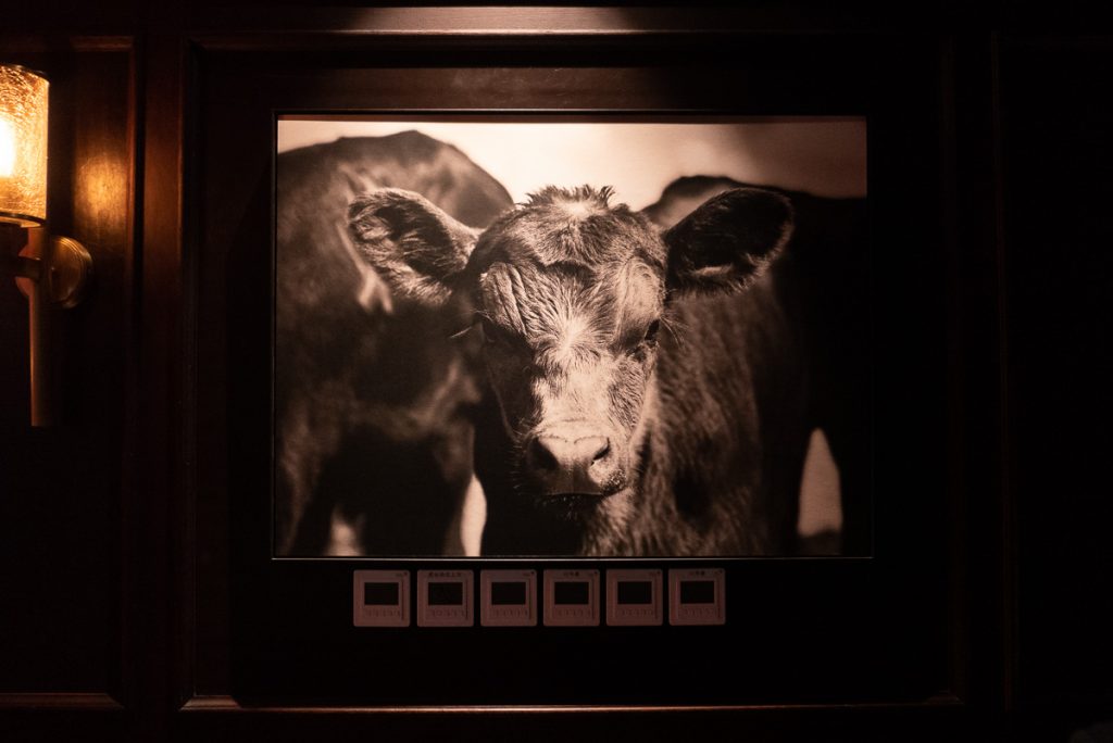 Wolfgang's Steakhouse Shanghai: dry aged premium USDA steaks at this restaurant. Photo by Rachel Gouk. 