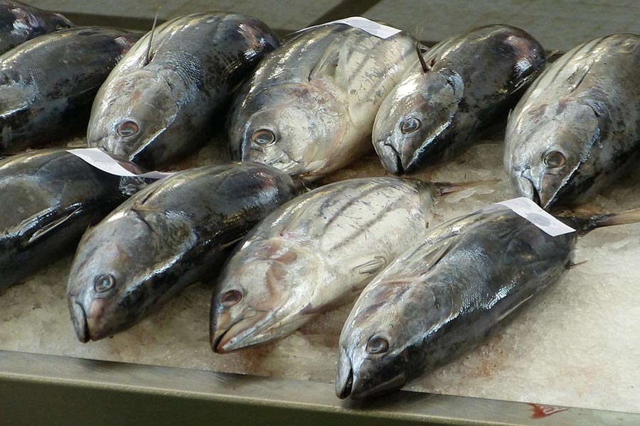 Impact of japanese seafood ban in Shanghai, China