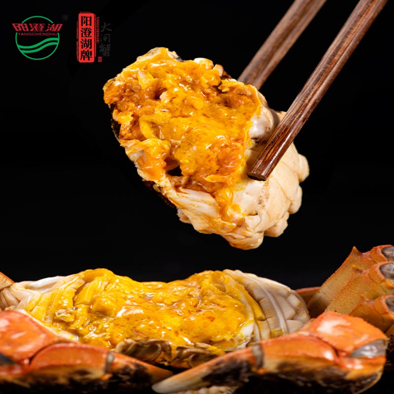 Order hairy crabs from Yangcheng Lake