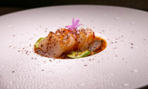 Nebula, a Spanish fine dining restaurant with molecular cuisine in Shanghai.