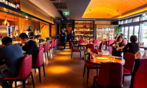 Terroir Strong is a contemporary Chinese restaurant focusing on Northwestern cuisine and ingredients.