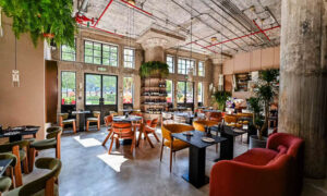Juniper, restaurant and bar in Shanghai near Suzhou Creek serving a globally inspired menu and Shanghai's largest gin collection.