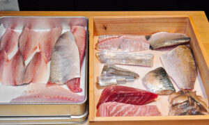 Uni Shushi is an affordable omakase restaurant in Xintiandi, Shanghai